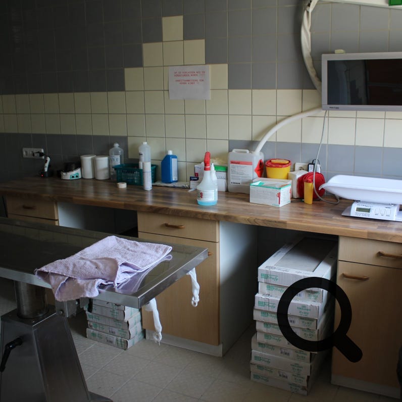 Selektive Fokusfotografie Von Orange Tabby Cat